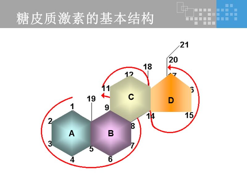 氟轻松是如何发挥其药理作用的？